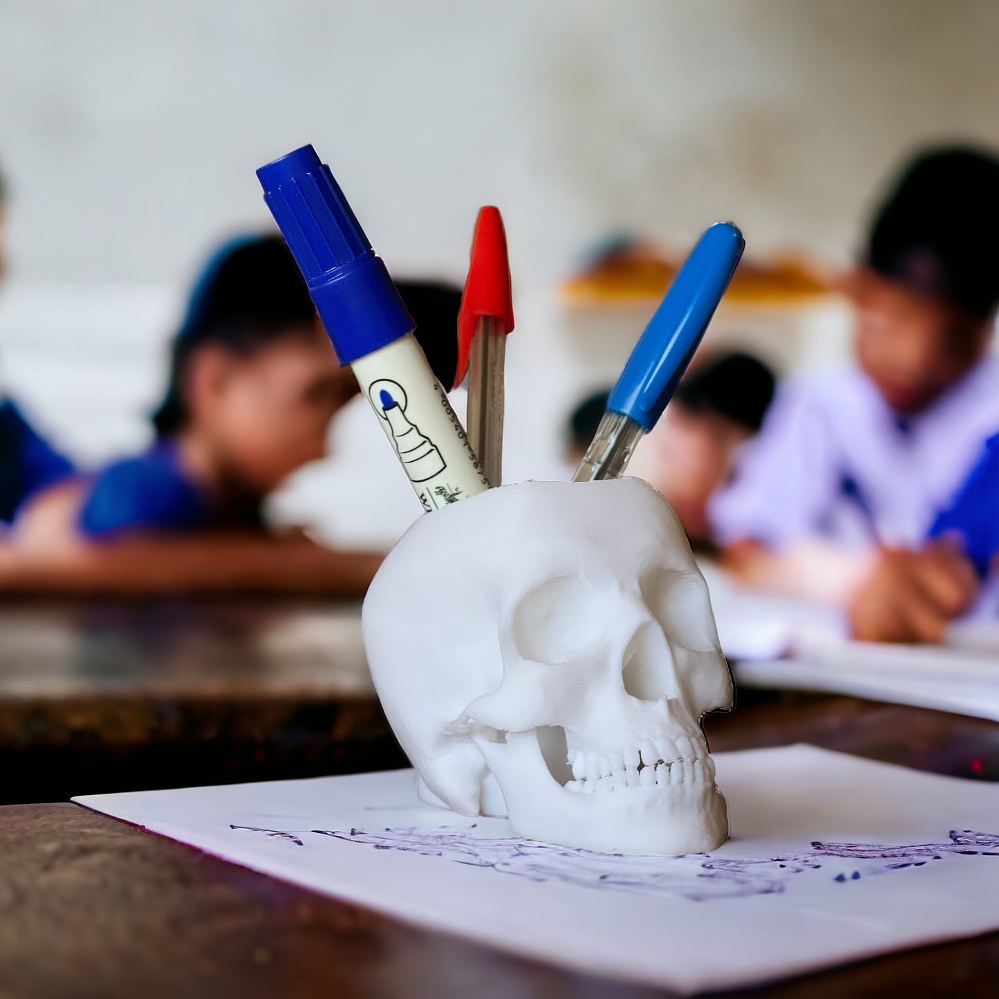 جمجمة حاملة الأقلام