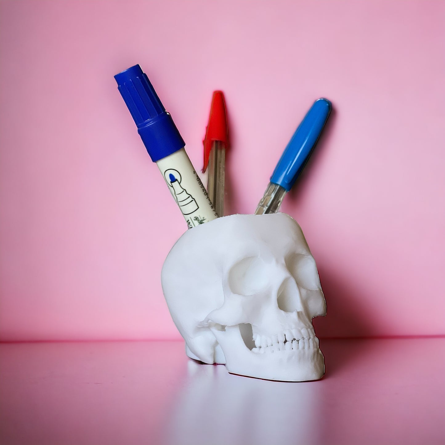 جمجمة حاملة الأقلام